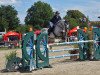 jumper Dejavu 31 (German Riding Pony, 2007, from Douglas)