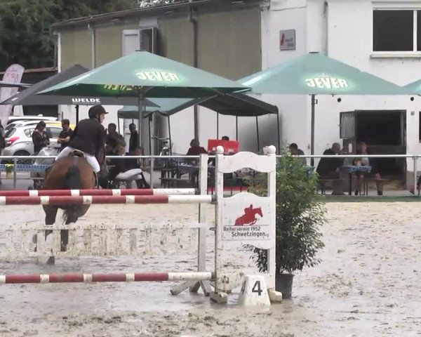 Reitturnier Schwetzingen 2016