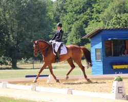 dressage horse Schnurstraxx (Hanoverian, 2008, from Swarovski)