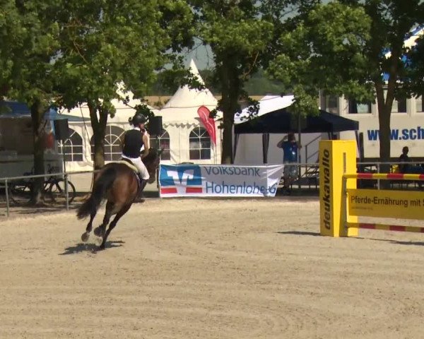 Reitturnier Rot am See-Musdorf 2016