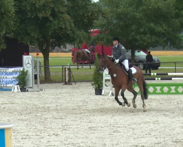 Reitturnier Rot am See-Musdorf 2016