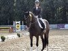 dressage horse Deauville S 3 (Westphalian, 2016, from Dante Weltino Old)