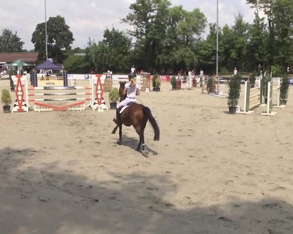 Reitturnier Schwetzingen 2016