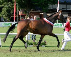 broodmare Rihanna (Westphalian, 2011, from Rocky Lee)