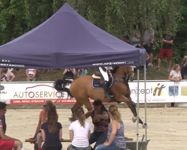 Reitturnier Schwetzingen 2016