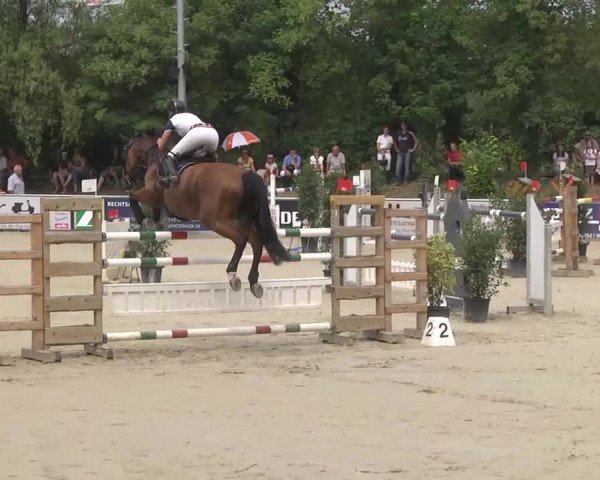 Reitturnier Schwetzingen 2016