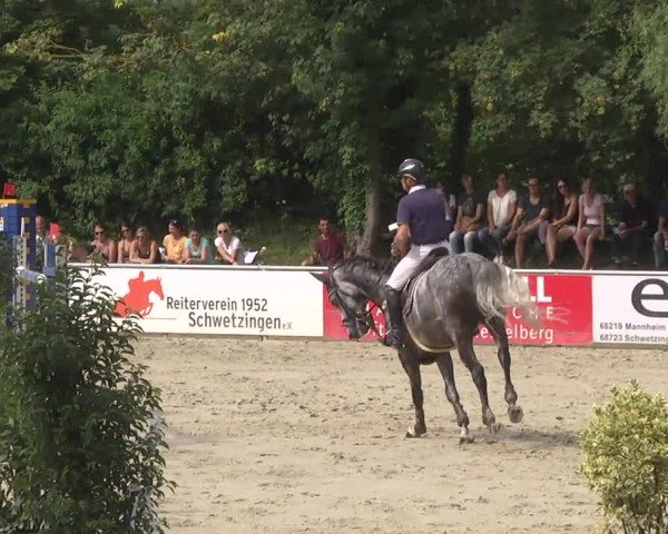 Reitturnier Schwetzingen 2016