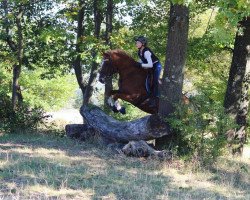 dressage horse Nats (German Riding Pony, 1998, from Navajo)