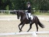 dressage horse Freeway 14 (German Sport Horse, 2014, from Fantastic)