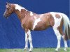 stallion Fétiche de Blagny (Selle Français, 1993, from Nidor Platière)