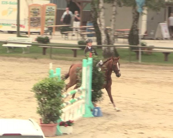 Großes Reit- und Springturnier Herbern 2016