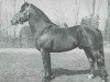 stallion Vagabond (Freiberger, 1961, from Verdict)