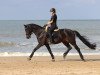 dressage horse Palmnicken - Go (Trakehner, 2010, from Karl Lagerfeld)