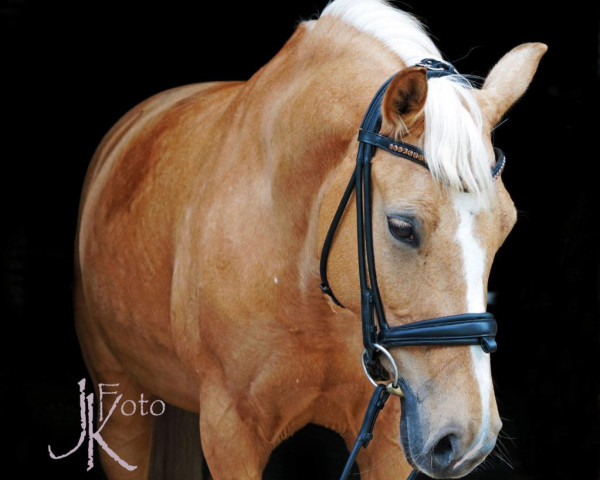 broodmare Donna Leon 30 (German Riding Pony, 2008, from Deviano)
