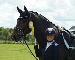 dressage horse Rose du Var (Bavarian, 2013, from Antango du Feuillard)