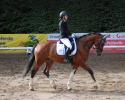 dressage horse Kiano 9 (KWPN (Royal Dutch Sporthorse), 2013, from Zhivago)