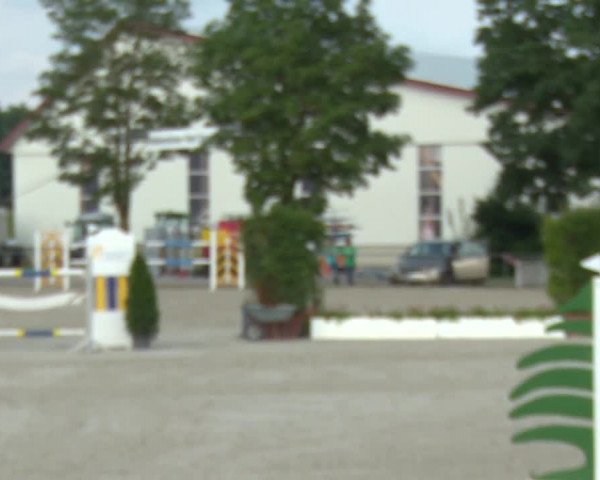 Reitturnier Rot am See-Musdorf 2016