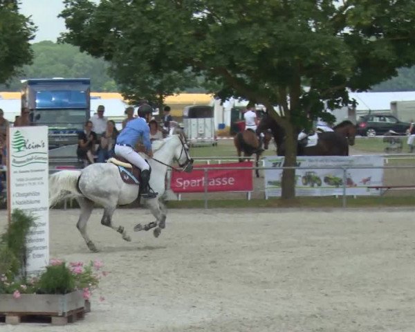 Reitturnier Rot am See-Musdorf 2016