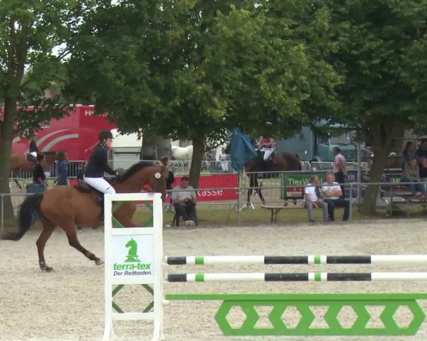 Reitturnier Rot am See-Musdorf 2016