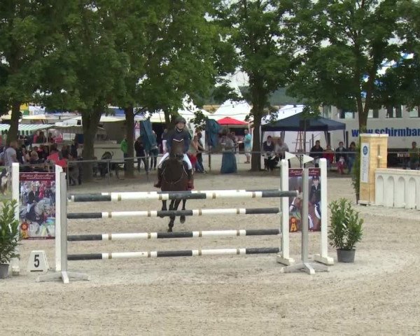 Reitturnier Rot am See-Musdorf 2016