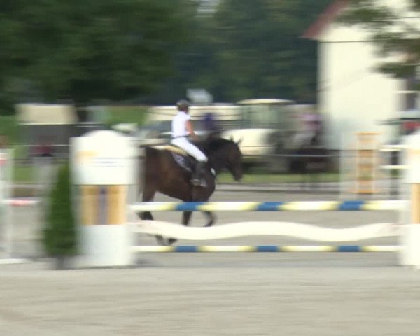 Reitturnier Rot am See-Musdorf 2016