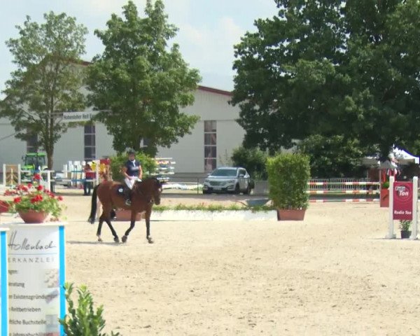 Reitturnier Rot am See-Musdorf 2016