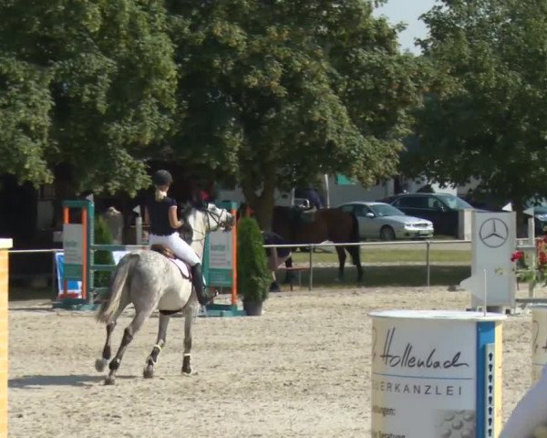 Reitturnier Rot am See-Musdorf 2016