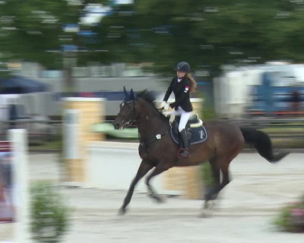 Reitturnier Rot am See-Musdorf 2016