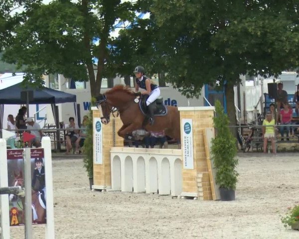 Reitturnier Rot am See-Musdorf 2016