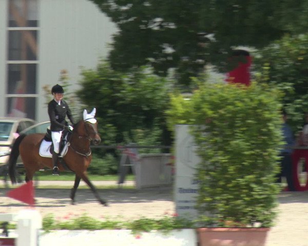 Reitturnier Rot am See-Musdorf 2016
