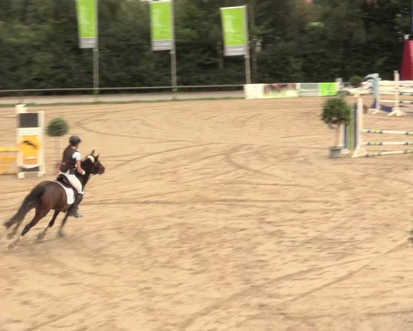 Großes Reit- und Springturnier Herbern 2016