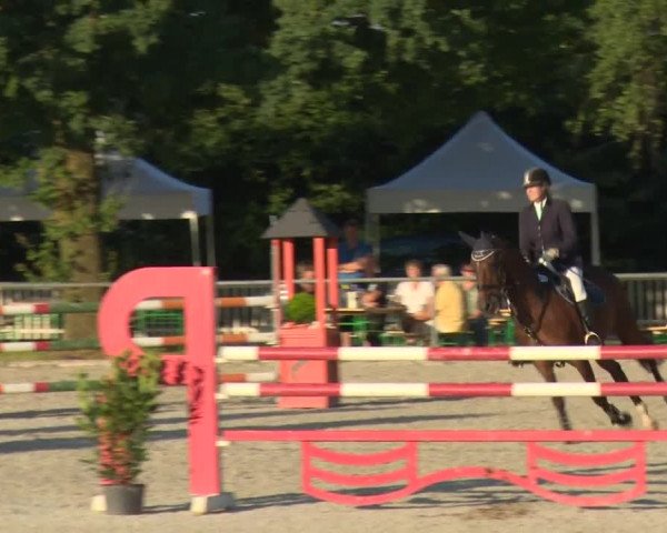 Reitturnier Rot am See-Musdorf 2016