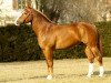 stallion Nolane (Freiberger, 2002, from Nagano II CH)