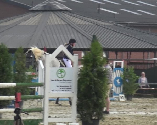 Sommerturnier Neuss-Allerheiligen 2016