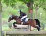 dressage horse Nikito 13 (German Riding Pony, 2003, from Nabor)