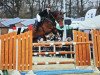 jumper Celine 244 (Hanoverian, 2010, from Cloney)