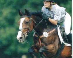 broodmare Lissy O (Hanoverian, 1991, from Loredo)