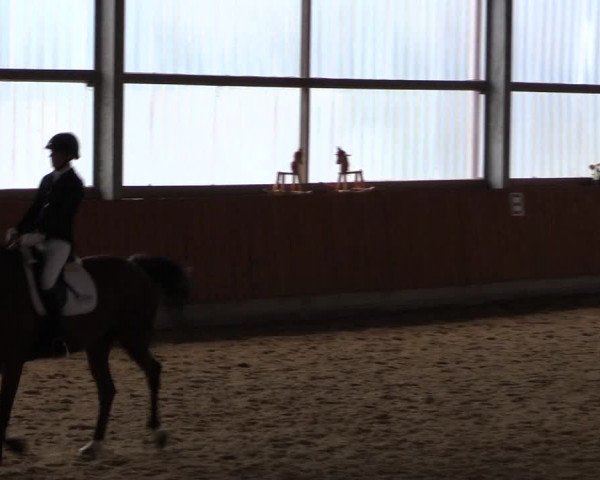 Großes Reit- und Springturnier Herbern 2016