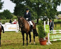 dressage horse Florian ZT (Oldenburg, 1995, from Feinbrand)