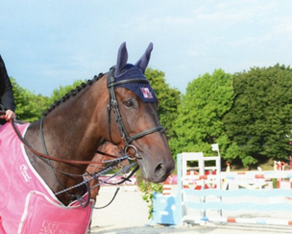 jumper Stoulone du Genet (Selle Français, 2006, from Toulon)