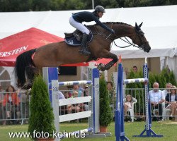 jumper Flying Boy 20 (Hanoverian, 2001, from Fly High)