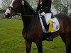 dressage horse Mathilda 13 (Hanoverian, 2004, from Metternich)