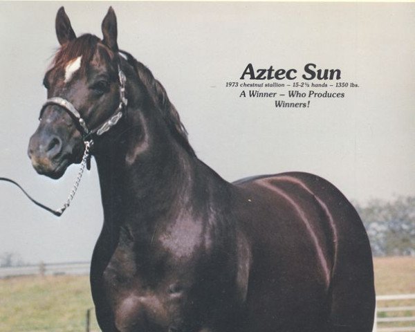 stallion Aztec Sun (Quarter Horse, 1973, from Big Sun)