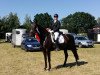 dressage horse Santiago 280 (Hanoverian, 2012, from Surprice)