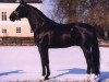 stallion Topaasch (KWPN (Royal Dutch Sporthorse), 2000, from Jazz)