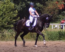 dressage horse Donnerschlag'sGirl (Hanoverian, 1997, from Donnerschlag)