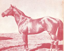 stallion Nearall xx (Thoroughbred, 1960, from Nearula xx)