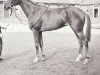 broodmare Desdemona xx (Thoroughbred, 1952, from Dante xx)