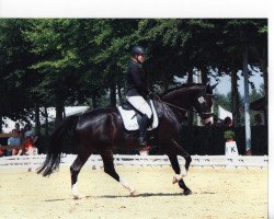 jumper Habbonero (KWPN (Royal Dutch Sporthorse), 2012, from Ukato)