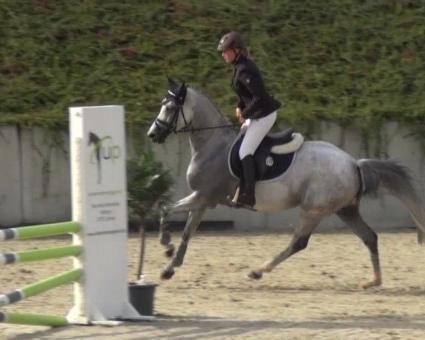 Reitturnier Lohmar-Halberg 2016